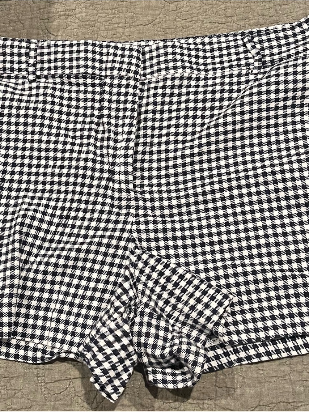 LOFT Blue and White Gingham Flat Front Women’s Shorts